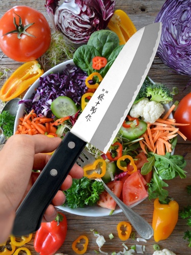 Японский Шеф Нож Сантоку Fuji Cutlery TJ-12 фото 4